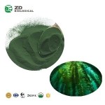 Algae Spirulina Feed Manufacturer - High Quality Animal Fish Shrimp Cattle