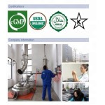 Organic Wheatgrass Powder Supplier - Water Soluble Green Super Food Bulk