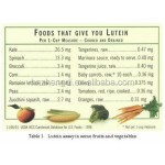 Amla Extract Powder Supplier - Pure Wholesale 30% Polyphenols Powder