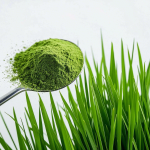 Wheatgrass Powder Manufacturer - Organic Juice Powder Spray Drying Process