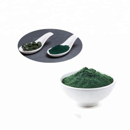 Spirulina Powder Manufacturer - High Quality Wholesale Animal Feed Seaweed