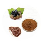 Fruit and Vegetable Powder