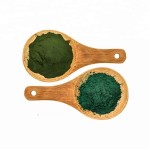 Spirulina Chlorella Powder Supplier - ZD Factory Bulk Sell Animal Food