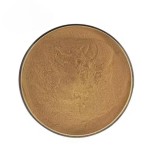 Amla Extract Powder Supplier - Pure Wholesale 30% Polyphenols Powder