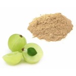 Amla Extract Powder Supplier - Pure Wholesale 30% Polyphenols Powder