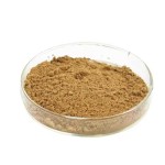 Amla Extract Powder Supplier - Pure Wholesale 30% Polyphenols Powder