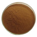 Cordyceps Sinensis Powder Factory - Hot Sale 10:1 Mushroom Extract Powder