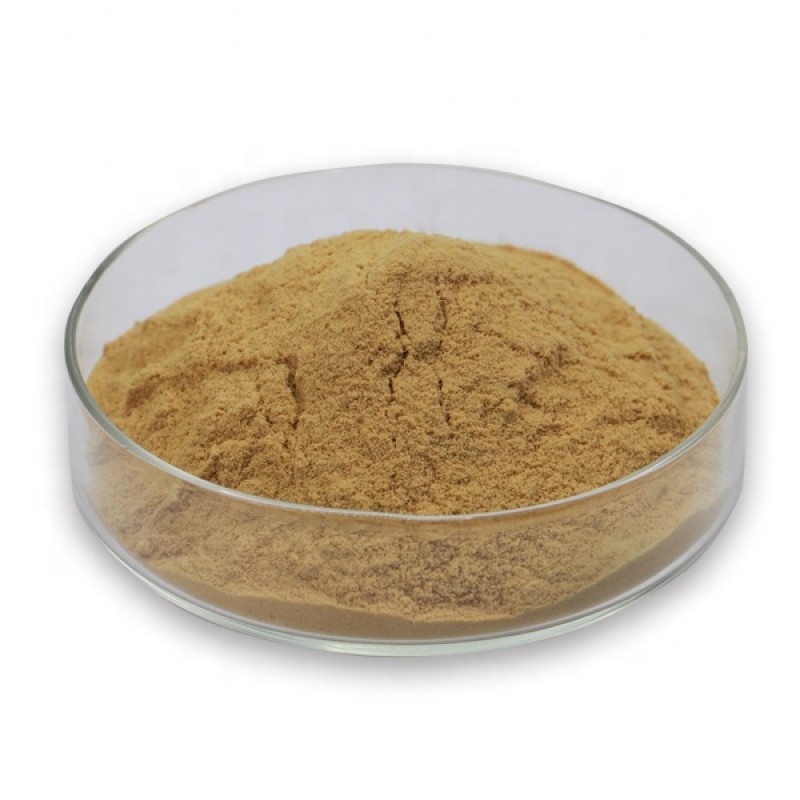 Hericium Erinaceus Powder Factory - Wholesale Extract 20:1-4:1 30%-50%