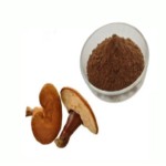 Mushroom Extract Powder Factory - Bulk Supply Changa 10:1 Extract