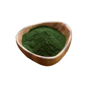 Spirulina Powder Manufacturer - Top Quality 100% Pure Green Powder