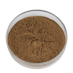 Mushroom Extract Manufacturer - Organic Chaga Lions Mane Cordyceps Powder