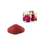 Red Dragon Fruit Powder Supplier - Supply Pure Natural Juice Powder Food