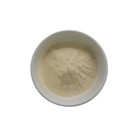 Beta Glucan Powder Supplier - High Quality 20%-80% Oat Bran Extract