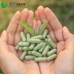 Empty Capsules Manufacturer - OEM Custom Hard Gelatin HPMC Halal Certified