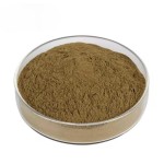 Mushroom Extract Powder Manufacturer - Organic Chaga Lions Mane Cordyceps