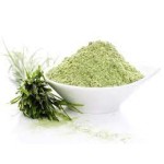 Wheatgrass Powder Manufacturer - Organic Juice Powder Spray Drying Process