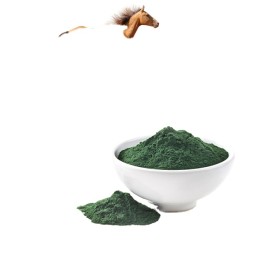 Spirulina Animal Feed Supplier - GMP Factory Supply Fish Chicken Meal