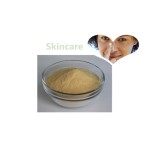 Beta Glucan Powder Supplier - High Quality 20%-80% Oat Bran Extract