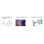 Milk Thistle Extract Factory - Joint Health Supplement 2025 Hot Ingredients