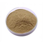 Evening Primrose Oil Factory - High Quality Softgel Capsules Production