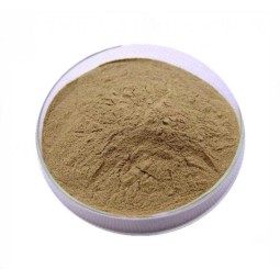 Evening Primrose Oil Factory - High Quality Softgel Capsules Production