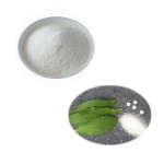 Stevia Extract Mints Manufacturer - Organic 100% Water Soluble Erythritol