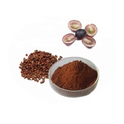 Grape Seed Extract Manufacturer - High Quality Organic 50% Anthocyanins