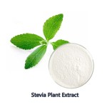 Stevia Extract Powder Manufacturer - Organic Water Soluble Erythritol Mints