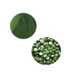 Chlorella Tablet Manufacturer - High Nutrition 250mg-500mg Healthcare Supplement
