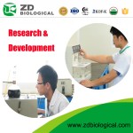 Spirulina Chlorella Powder Factory - Wholesale Marine Algae Extract Powder