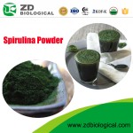 Spirulina Chlorella Powder Factory - Wholesale Marine Algae Extract Powder