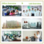 Marine Algae Extract Supplier - Wholesale Blue-Green Algae Spirulina Chlorella