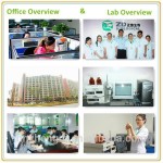 Saffron Extract Powder Supplier - High Quality 0.4% Safranal Powder