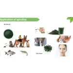 Spirulina Powder Manufacturer - Organic Conventional Food Feed Cosmetic Grade