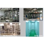 Alfalfa Powder Manufacturer - Lucerne Hay Powder Animal Feed