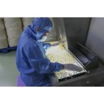 Gelatin Empty Capsules Manufacturer - HALAL Certified Non-GM All Sizes