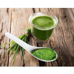 Wheatgrass Powder Manufacturer - Organic Juice Powder Spray Drying Process
