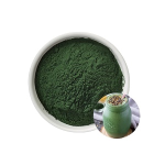 Spirulina Powder Manufacturer - Top Quality 100% Pure Green Powder