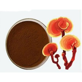 Reishi Mushroom Powder Manufacturer - Ganoderma Lucidum Traditional Chinese Herb