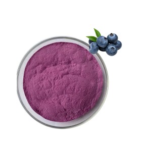 Blueberry Fruit Powder Supplier - Hot Sale 25%-50% Anthocyanidins Vaccinium