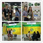 Amla Extract Powder Supplier - Pure Wholesale 30% Polyphenols Powder