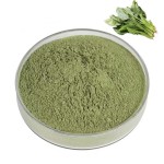 Milk Thistle Extract Factory - Joint Health Supplement 2025 Hot Ingredients