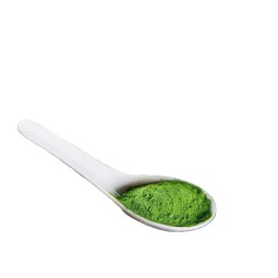 Barley Grass Powder Supplier - Organic Juice Powder Wheatgrass Extract