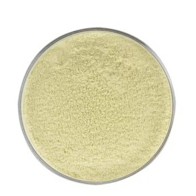 Vegetable Powders Supplier - Garlic Oat Extract Superfood Health Ingredients