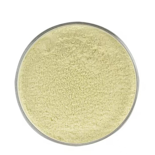 Vegetable Powders Supplier - Garlic Oat Extract Superfood Health Ingredients