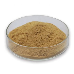 Hericium Erinaceus Extract Manufacturer - Hot Sale 10%-30% Polysaccharide