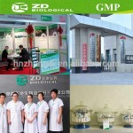 Organic Wheatgrass Powder Supplier - Water Soluble Green Super Food Bulk