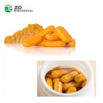 Empty Capsules Supplier - Hot Sale Gelatin HPMC Separated Sealed Kind