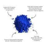 Spirulina Antioxidant Factory - GMP Factory Supply Phycocyanin E16-E25