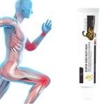 Vegetable Powders Supplier - Garlic Oat Extract Superfood Health Ingredients